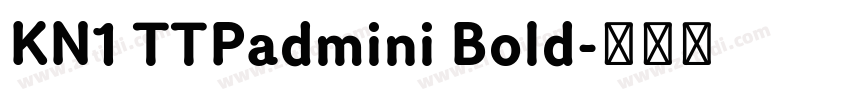 KN1 TTPadmini Bold字体转换 KN1 TTPadmini Bold字体转换